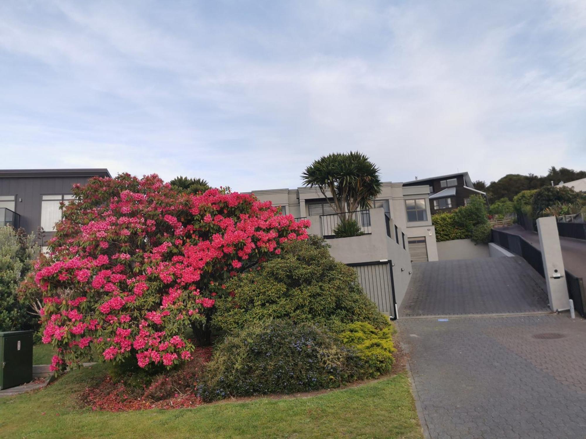 Lakeview Holiday Hideaway Taupo Eksteriør billede