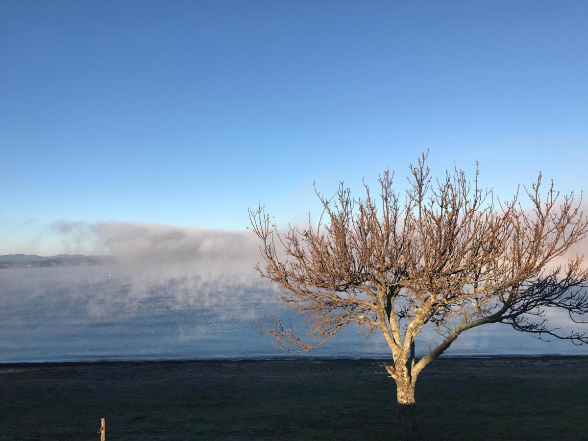 Lakeview Holiday Hideaway Taupo Eksteriør billede